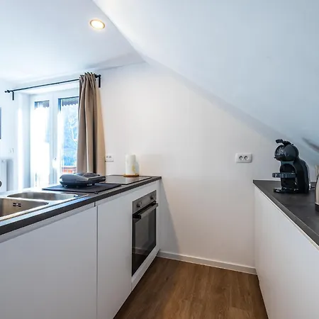 Via Alpina With Sauna Apartment