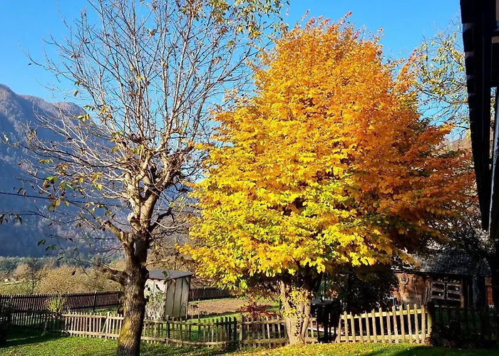 شقة Via Alpina With Sauna موجسترانا